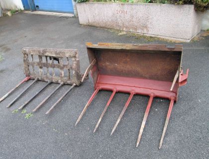 IMG 01371